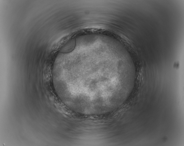 X0000114561014200911091213