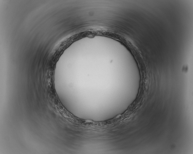 X0000114561016200911091213