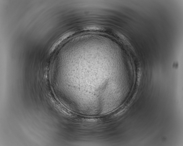 X0000114561017200911091213