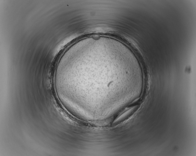X0000114561018200911091213