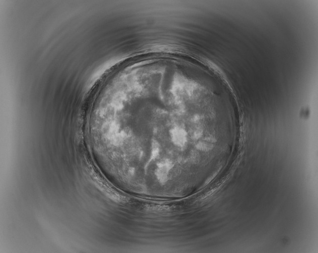 X0000114561019200911091213