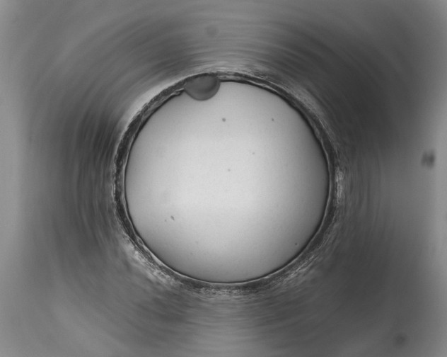X0000114561020200911091213