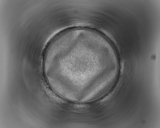 X0000114561021200911091213
