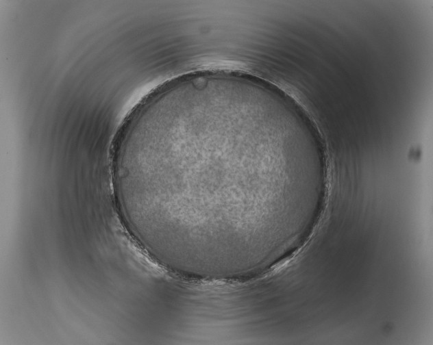 X0000114561022200911091213