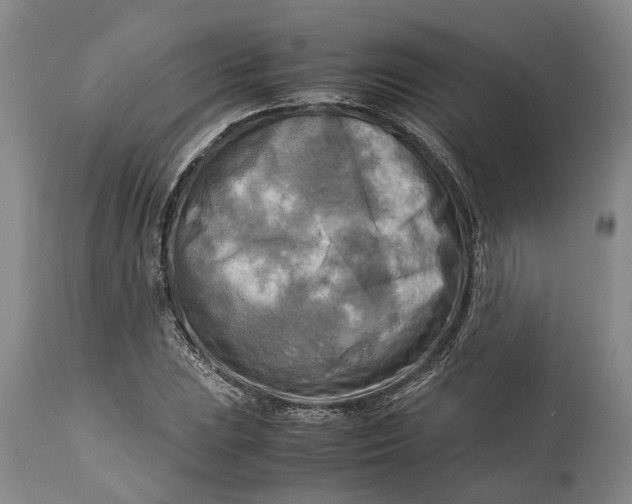 X0000114561023200911091213