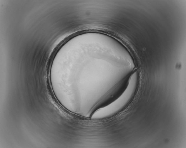 X0000114561024200911091213