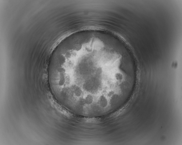 X0000114561025200911091213