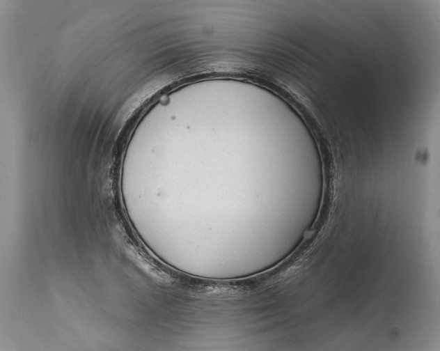X0000114561026200911091213
