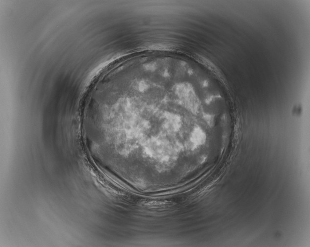 X0000114561027200911091213