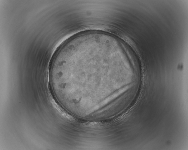 X0000114561028200911091213