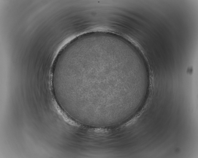 X0000114561029200911091213