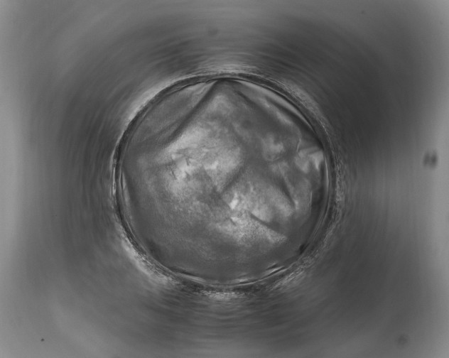 X0000114561031200911091213