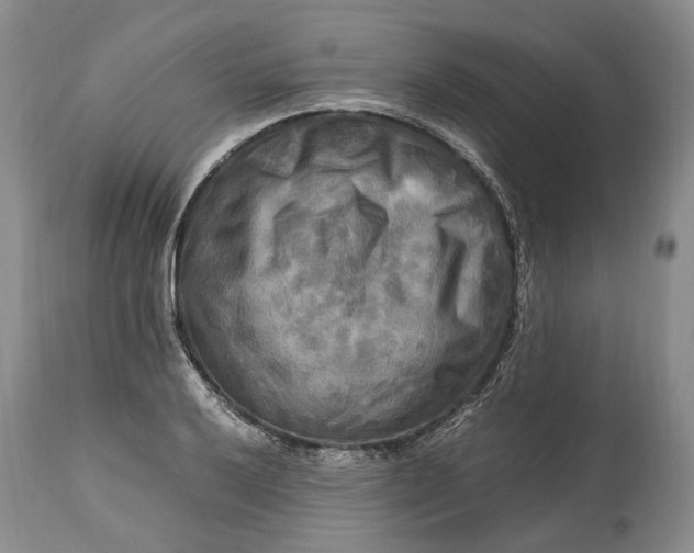 X0000114561032200911091213
