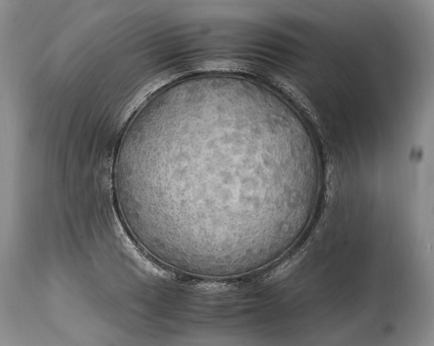 X0000114561033200911091213
