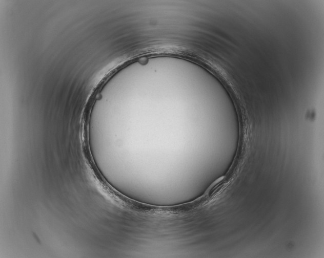 X0000114561034200911091213
