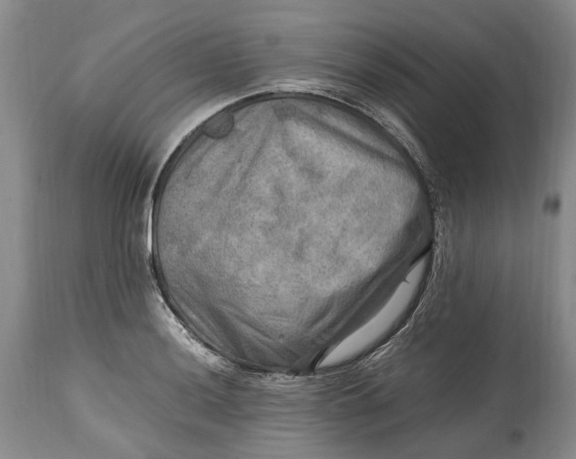 X0000114561036200911091213