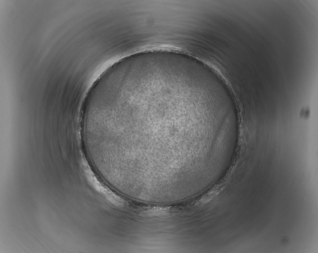 X0000114561038200911091213
