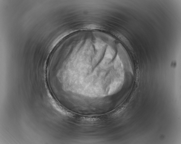 X0000114561039200911091214