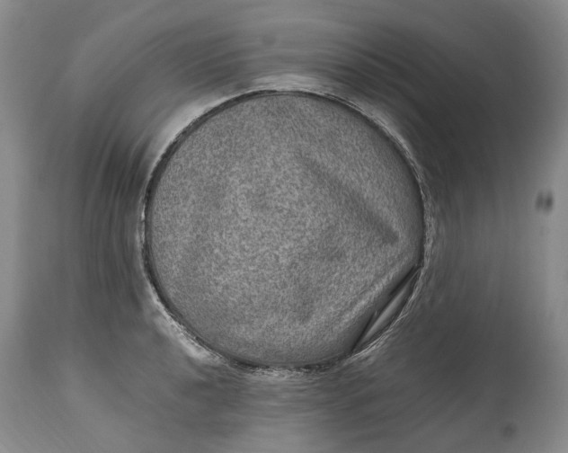 X0000114561040200911091214