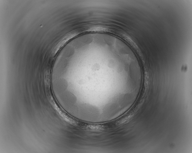 X0000114561041200911091214