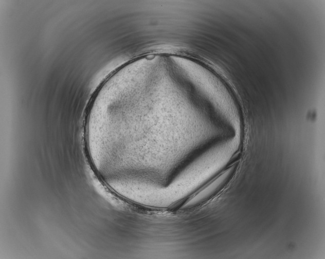 X0000114561042200911091214