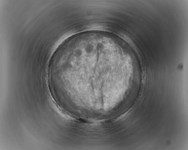 X0000114561043200911091214