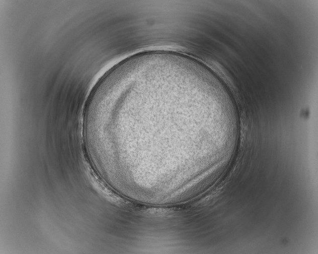 X0000114561044200911091214