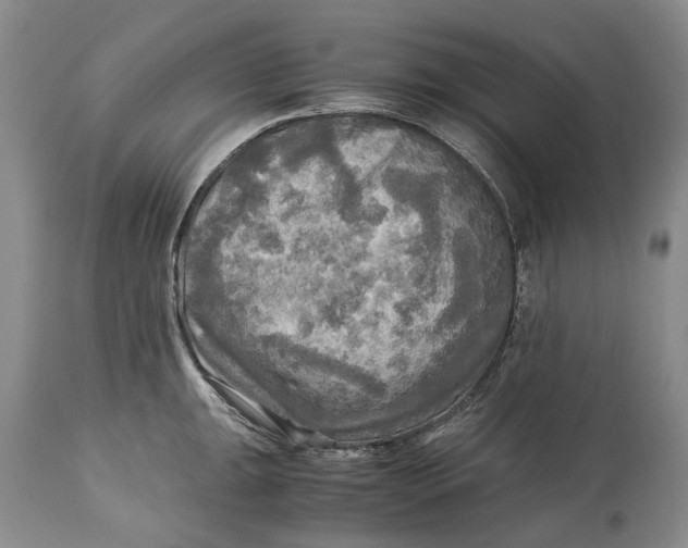 X0000114561047200911091214
