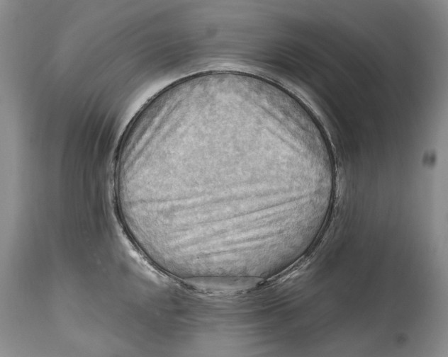 X0000114561048200911091214