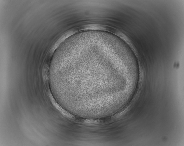X0000114561049200911091214