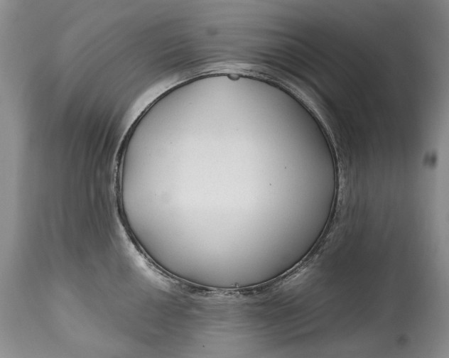 X0000114561050200911091214