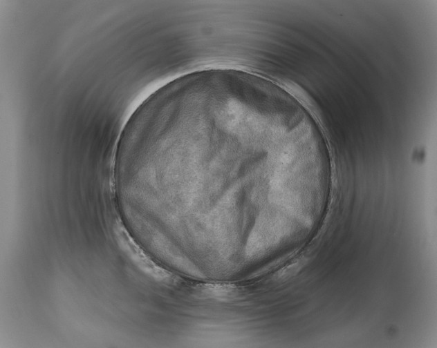 X0000114561052200911091214