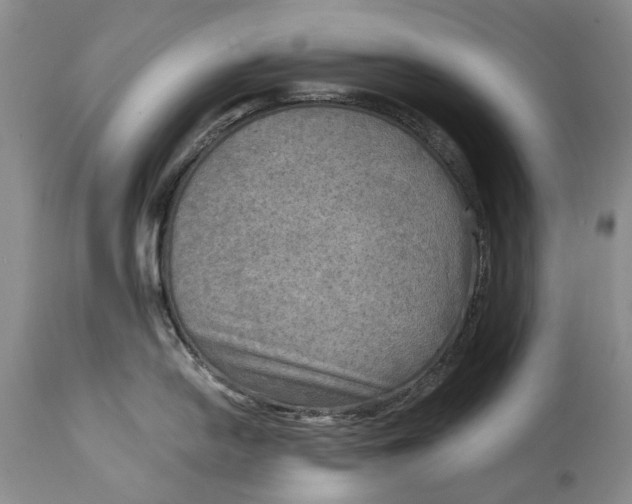X0000114561054200911091214