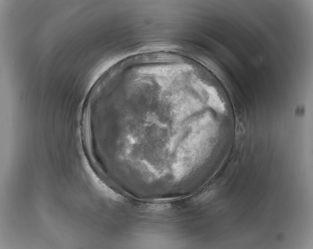 X0000114561055200911091214