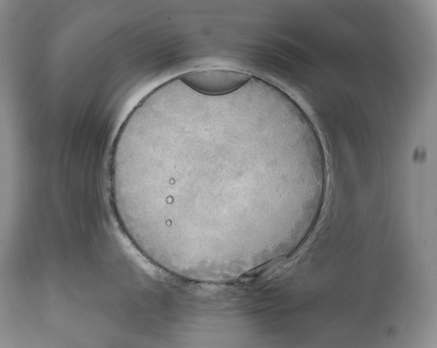 X0000114561056200911091214