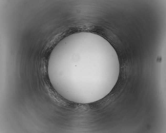X0000114561058200911091213