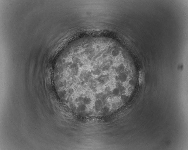 X0000114561059200911091213