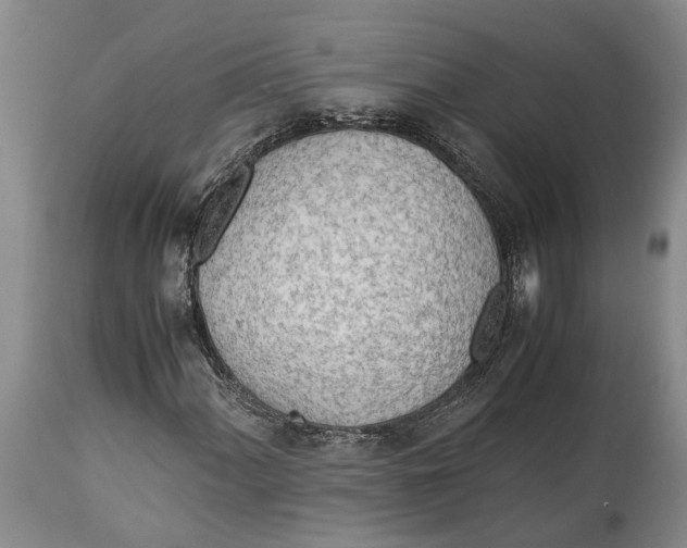X0000114561060200911091213