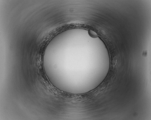 X0000114561062200911091213