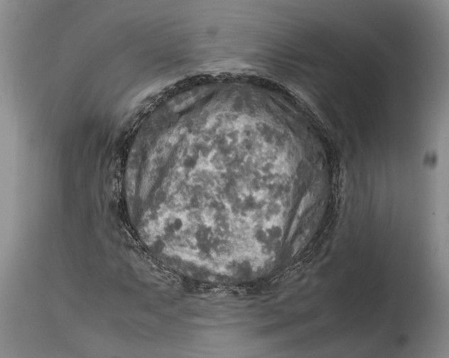 X0000114561063200911091213
