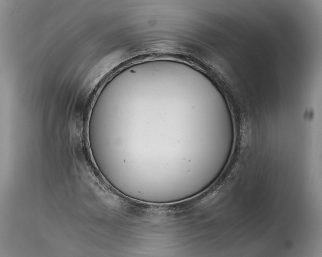 X0000114561065200911091213