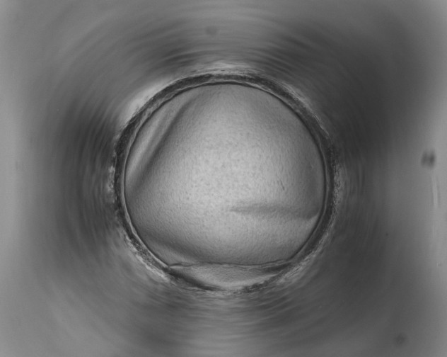 X0000114561066200911091213
