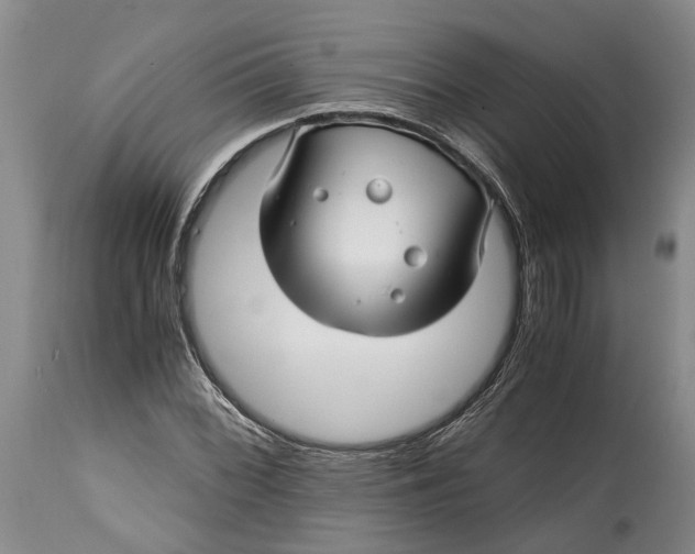 X0000114561068200911091213