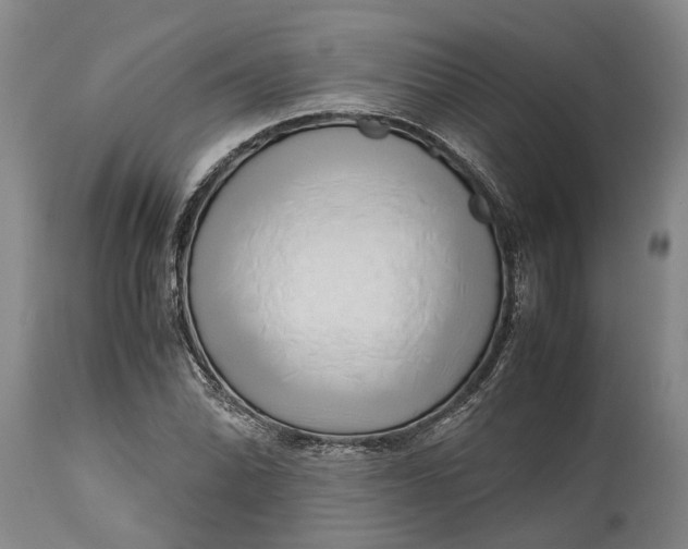 X0000114561070200911091213