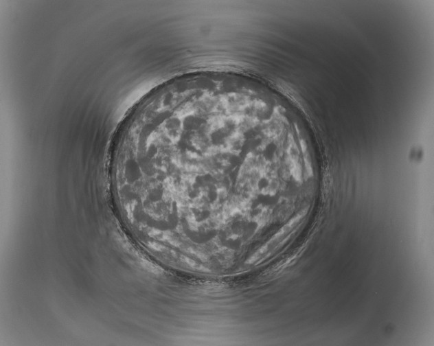 X0000114561071200911091213