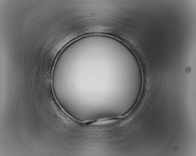 X0000114561073200911091213