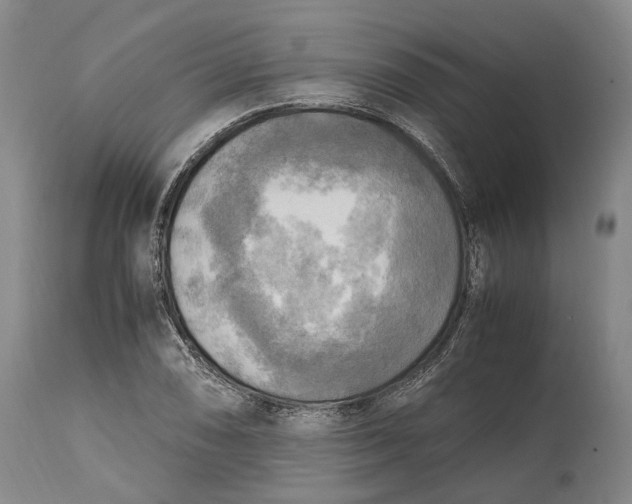 X0000114561074200911091213