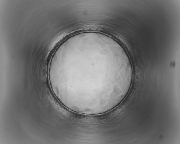 X0000114561075200911091213