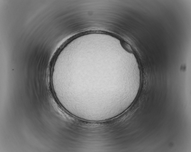 X0000114561076200911091213