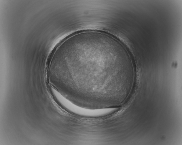 X0000114561077200911091213